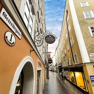 Elefant Family Business 2* Salzburg